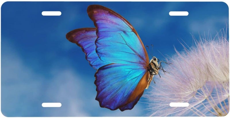 Smoaffly License Plate,Blue Butterfly Flower Decorative Car Front,Metal Plate,Vanity Tag,Aluminum Noverlty License Plate for Men/Women/Boy/Girls Car 6×12 Inch - Image 1